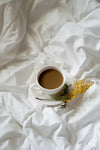 Ditch the Crash: The Rise of Mushroom Coffee in 2026