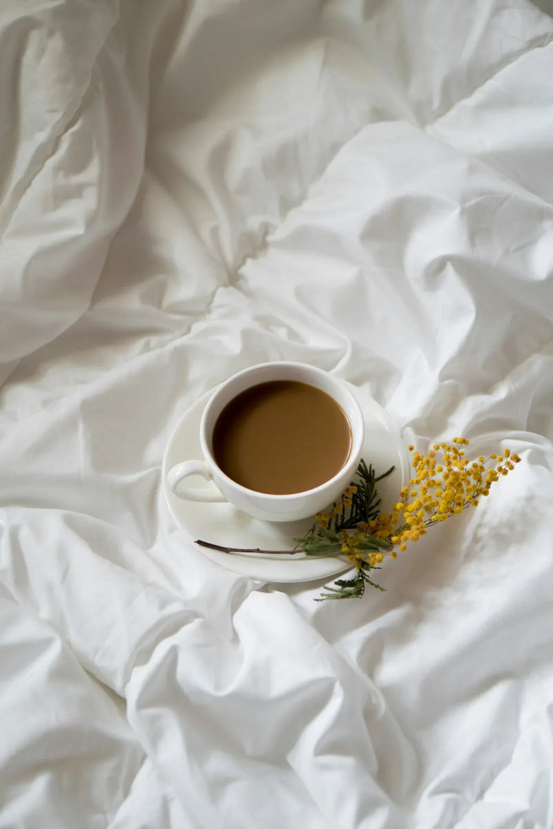 Ditch the Crash: The Rise of Mushroom Coffee in 2026